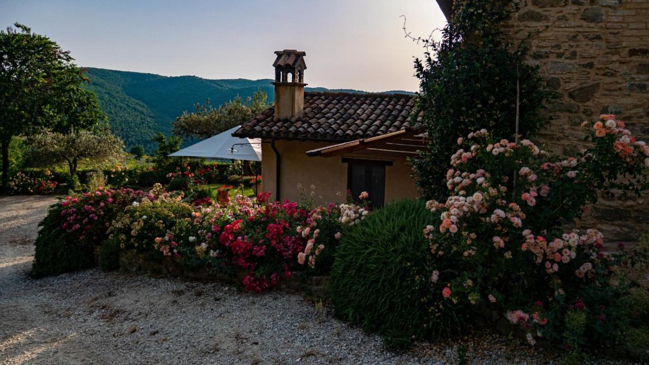 Il Casale Di Fiore Cannara Eksteriør billede