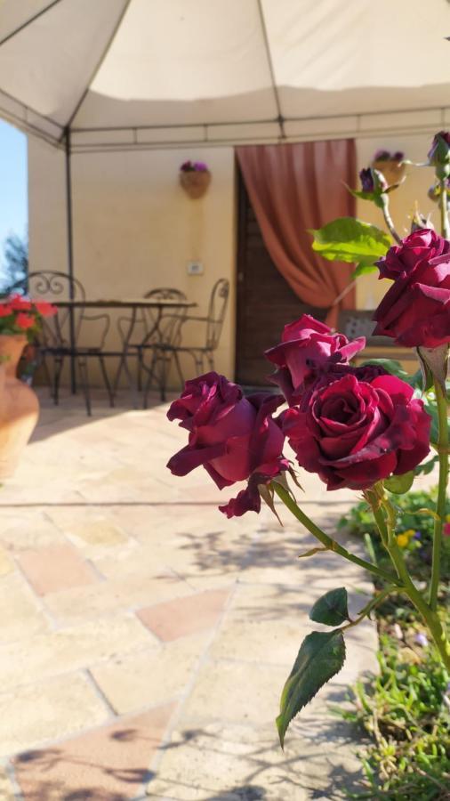 Il Casale Di Fiore Cannara Eksteriør billede