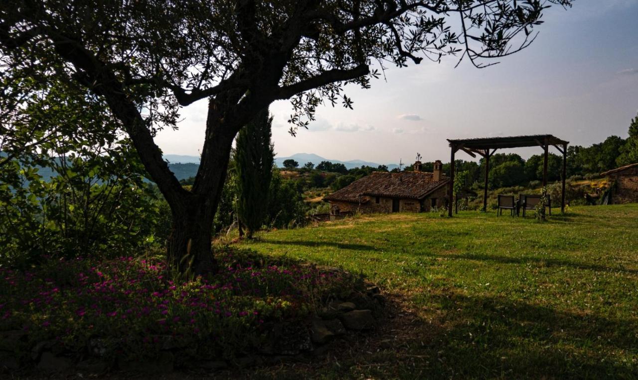 Il Casale Di Fiore Cannara Eksteriør billede