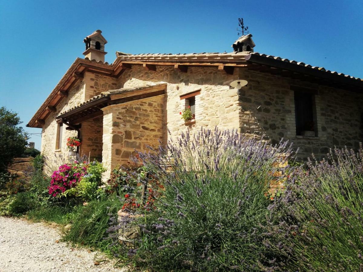 Il Casale Di Fiore Cannara Eksteriør billede